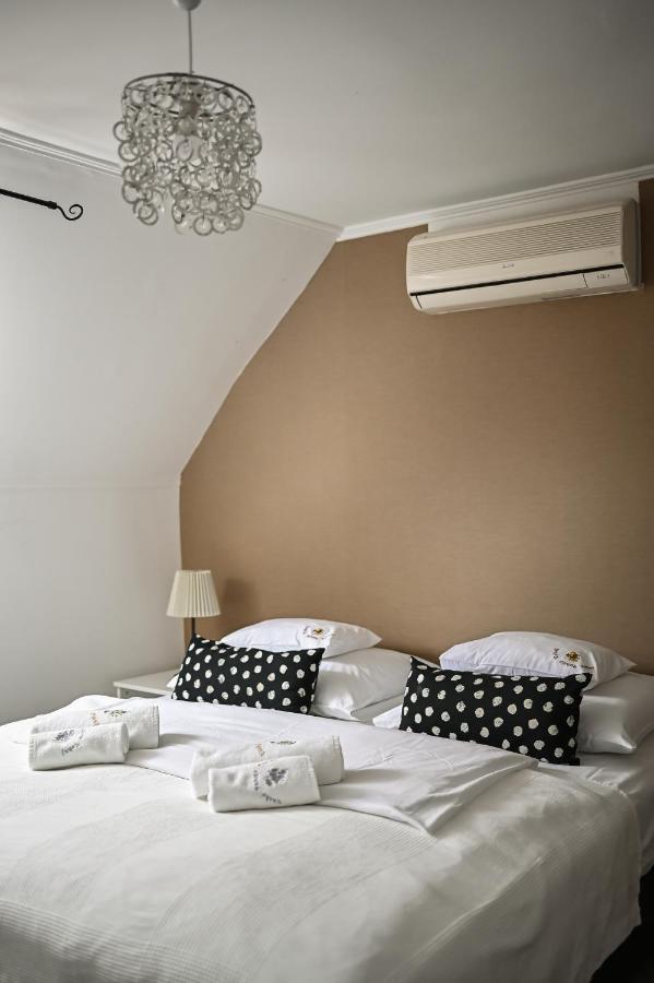 Vasko Panzio Borpince Bed & Breakfast Tokaj Luaran gambar