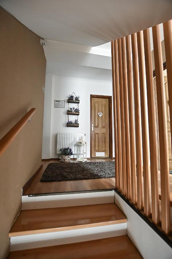 Vasko Panzio Borpince Bed & Breakfast Tokaj Luaran gambar